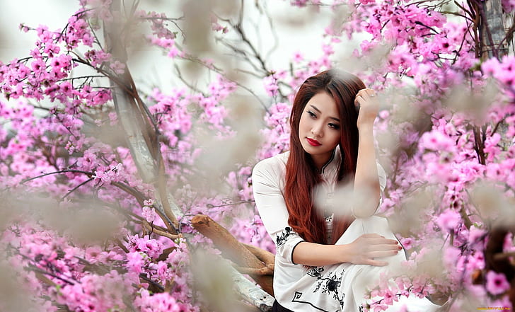 Asian, trees, women, model, HD wallpaper