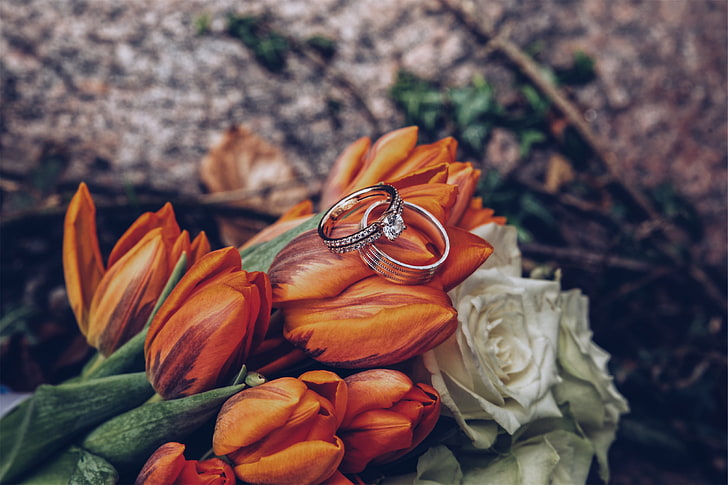 silver-colored engagement ring, tulips, rings, flowers, romance