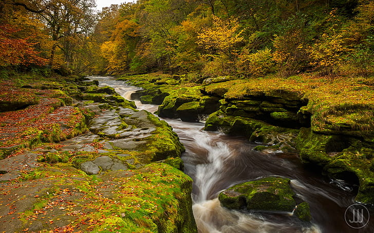 river stream between moss grown body of land during daytime, Strid
