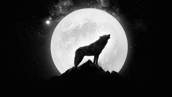 Wolf howling at the full moon, silhouette of wolf, digital art, HD wallpaper