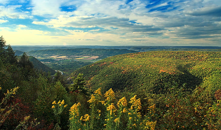 landscape photography of green mountains during day time, Pennsylvania