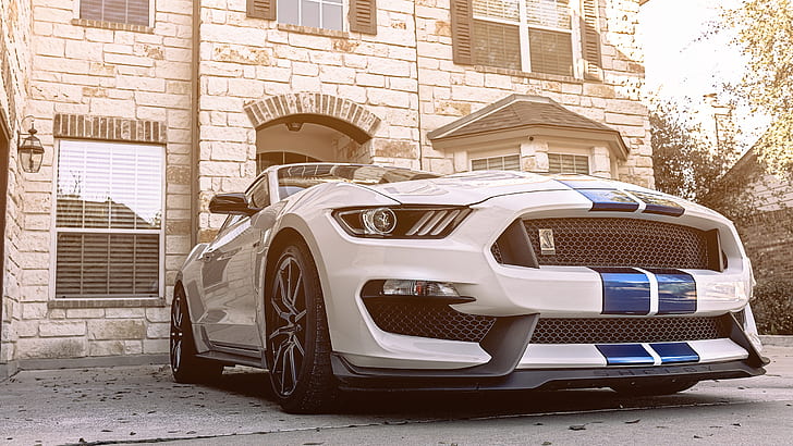 depth of field, car, Shelby GT350, Ford Mustang Shelby