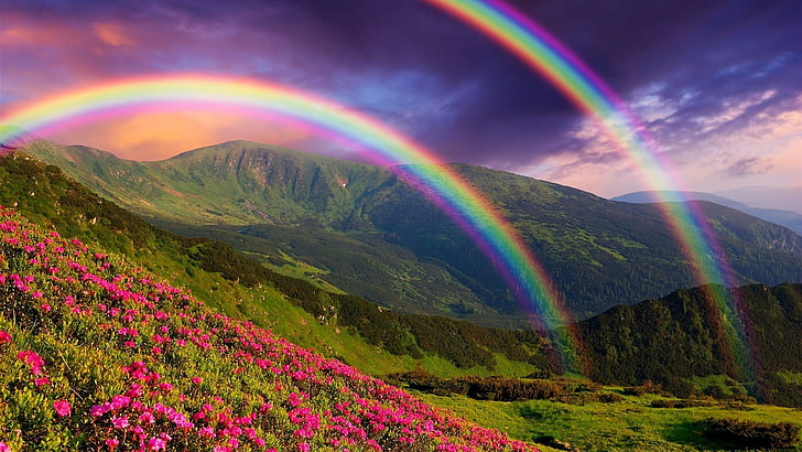 Double Rainbow Wallpapers - Top Free Double Rainbow Backgrounds -  WallpaperAccess