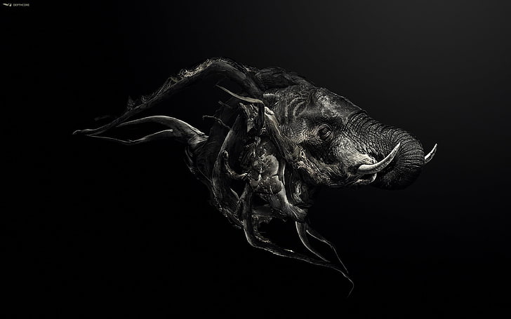 gray monster illustration, elephant, black, studio shot, black background