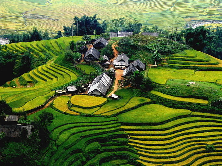 Sa Pa Terraced Fields, mountain, tree, house, 3d and abstract, HD wallpaper