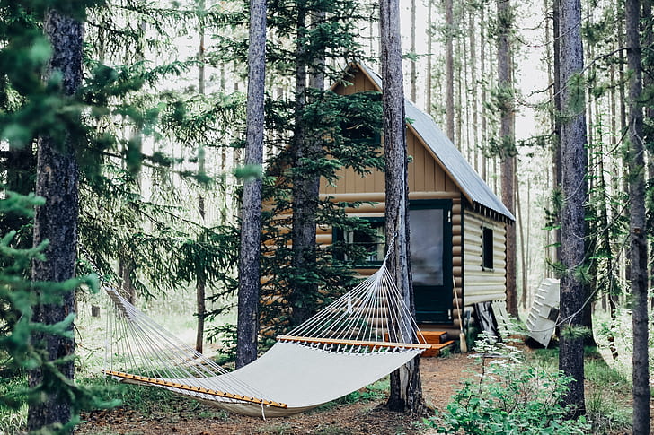 cabin, hammocks, forest, HD wallpaper
