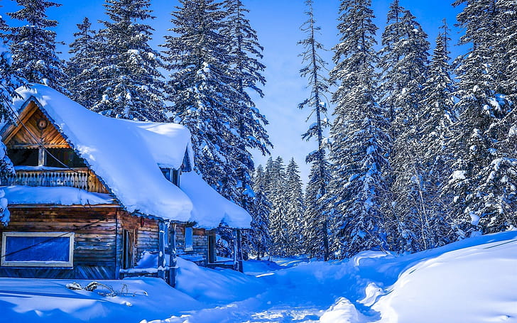 Winter, thick snow, Khabarovsk Krai, Russia, house, forest, trees, HD wallpaper