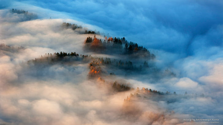 Morning Fog, Salzkammergut, Austria, Europe