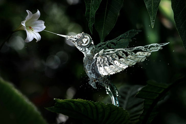 nature, birds, machine, hummingbirds, gears, white flowers