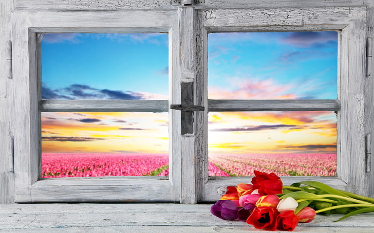 two white wooden framed painting of red flowers, petals, tulips