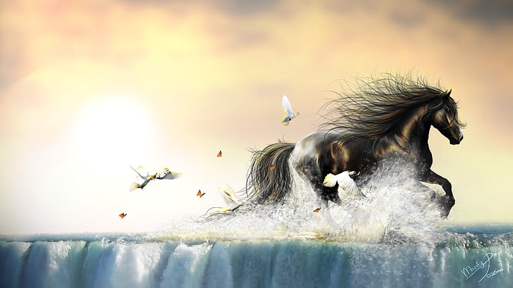 water, birds, insect, butterfly, animals, horse, waterfall