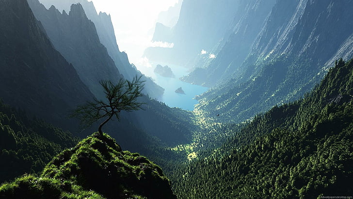 mountains, water, lonely tree, nature