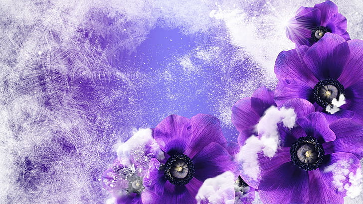 Purple Floral Winter, frost, poppies, fleurs, cold, flowers, snowing