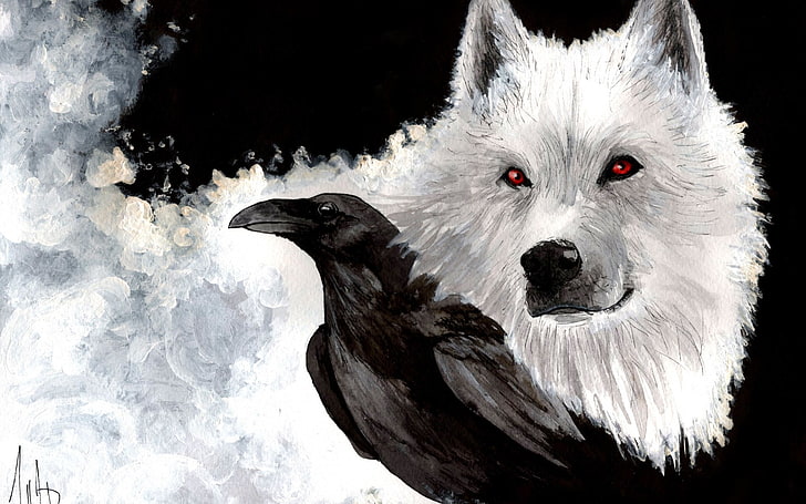 white and black short-fur cat, fantasy art, birds, animals, wolf, HD wallpaper
