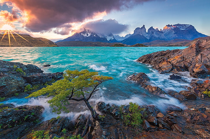 green tree, sunset, mountains, lake, Chile, Patagonia, Lake Pehoe, HD wallpaper