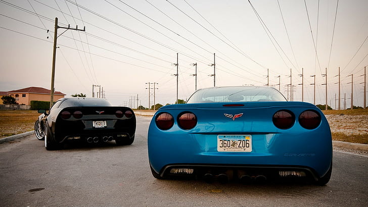 blue and black Chevrolet Corvettes, car, mode of transportation