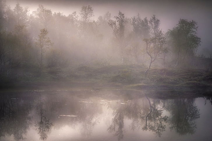 nature, landscape, mist, lake, forest, water, reflection, trees
