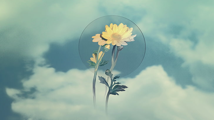 artwork, digital art, sky, flower, flowering plant, fragility, HD wallpaper