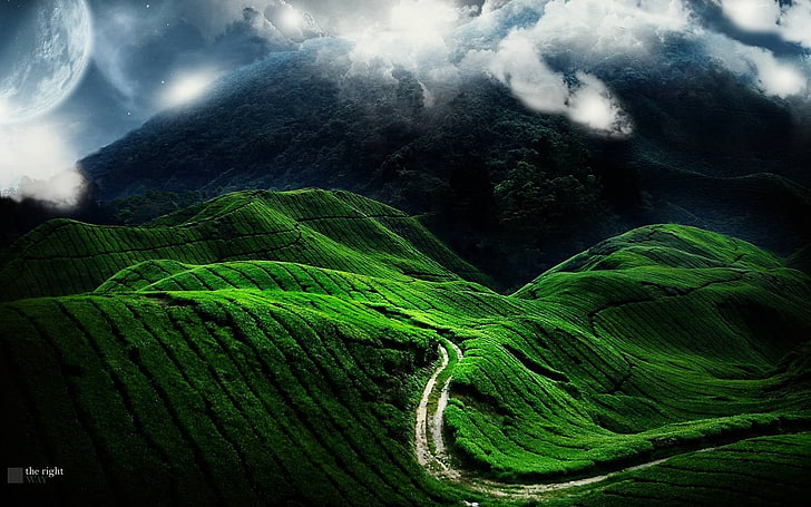 green mountain, road, fields, strips, bends, relief, nature, asia