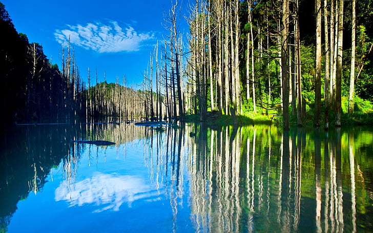 Beautiful nature scenery, lake, trees, water reflection, sun