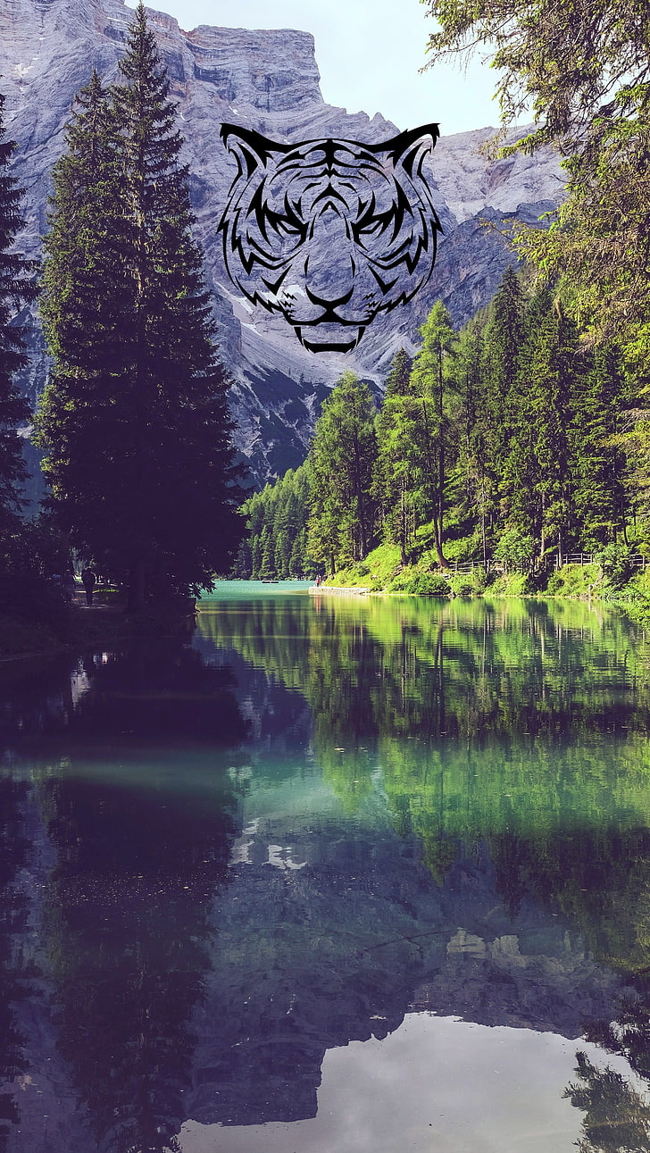 pine trees, landscape, lake, mountains, graphic design, logo