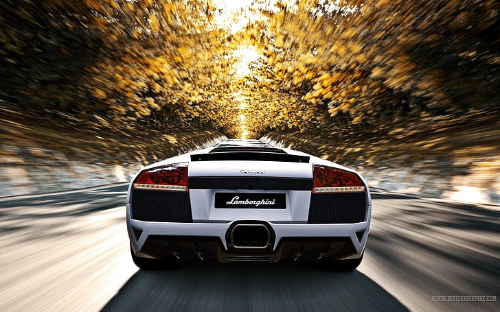 car, Lamborghini, Lamborghini Murcielago, motion blur, vehicle