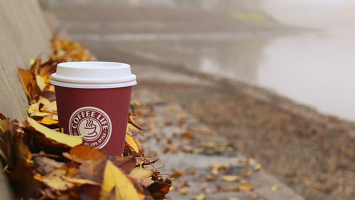 maroon coffee cup, coffee life cup surrounded with autumn leaves, HD wallpaper