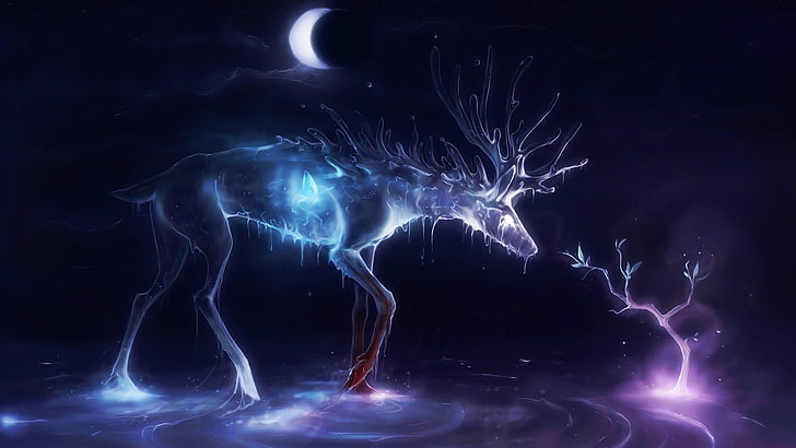 deer, crescent moon, glowing, animals, artwork, night, ripples, HD wallpaper
