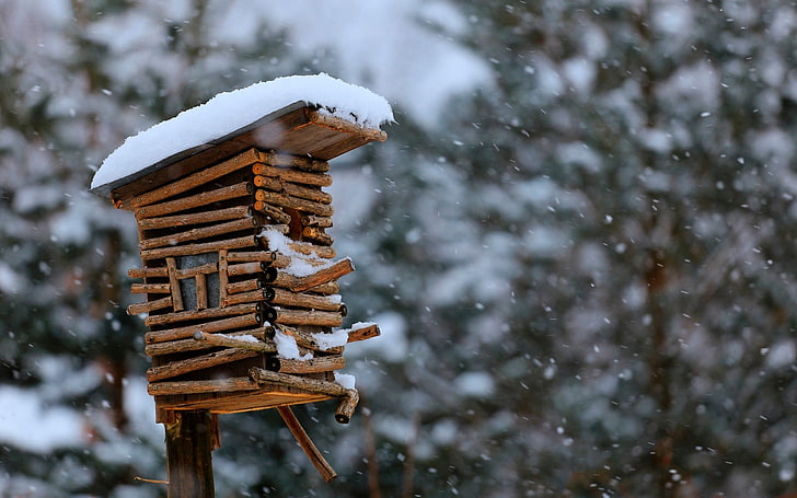 birdhouse snow winter-HD Widescreen Wallpaper, brown wooden bird's house
