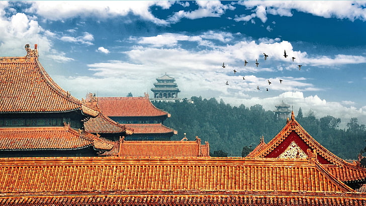 castle, forbidden city, beijing, roof, china, asia, sky, birds