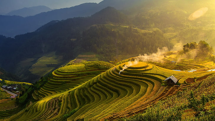 China beautiful terraced landscape-Windows 10 HD W.., rice terraces HD wallpaper