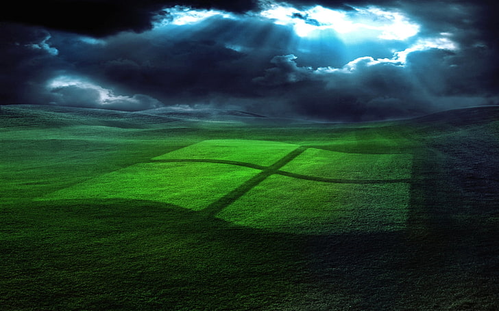 green grass Windows logo digital wallpaper, field, operating system, HD wallpaper