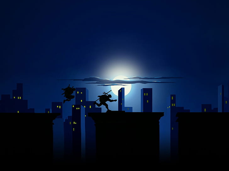 the city, the moon, roof, Donatello, tmnt, teenage mutant ninja turtles, HD wallpaper