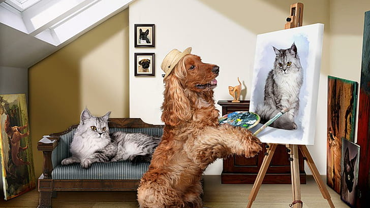 Dog Painting Cat, tan english cocker spaniel painted gray cat, HD wallpaper