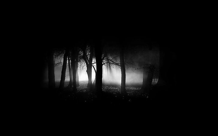 silhouette of forest, black, dark, mist, trees, simple, black background