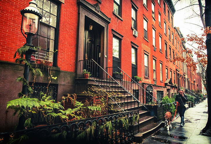 woman, dog, New York, Brooklyn, the sidewalk, lamppost, United States, HD wallpaper