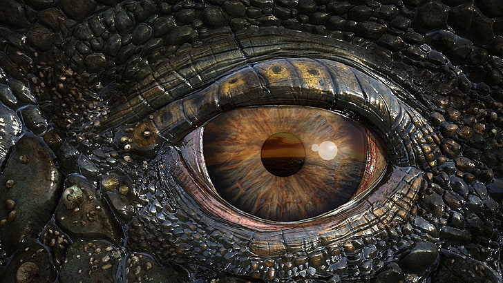 Movie, Sea Rex 3D: Journey To A Prehistoric World , Animal, HD wallpaper