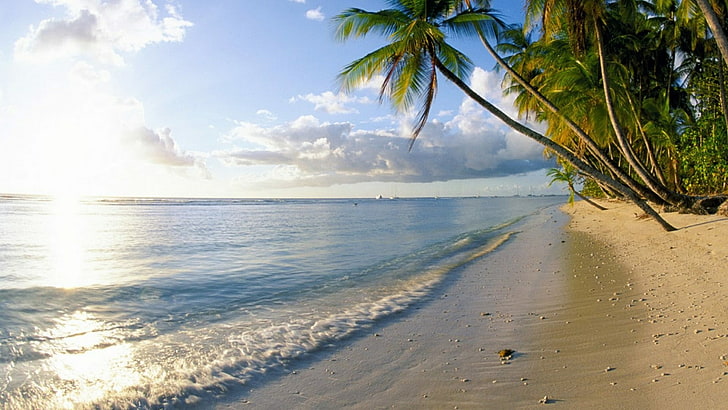 ocean, summer, tobago, trinidad and tobago, horizon, vacation, HD wallpaper