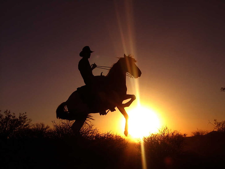 silhouette of man riding horse, sunset, cowboys, sun rays, sky