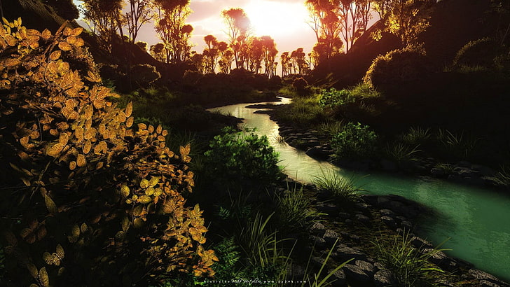 landscape, stream, leaves, plant, tree, beauty in nature, water, HD wallpaper