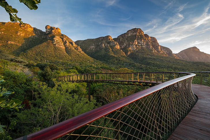 bridge, Cape Town, Kirstenbosch National Botanical Garden, mountains, HD wallpaper