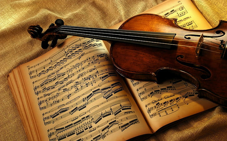 violin, music, musical notes, musical instrument, HD wallpaper