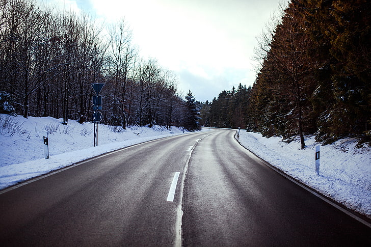 road, winter, snow, trees, direction, the way forward, plant