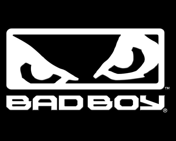 HD wallpaper: Bad Boy logo, Sports, Mixed Martial Arts, MMA | Wallpaper  Flare