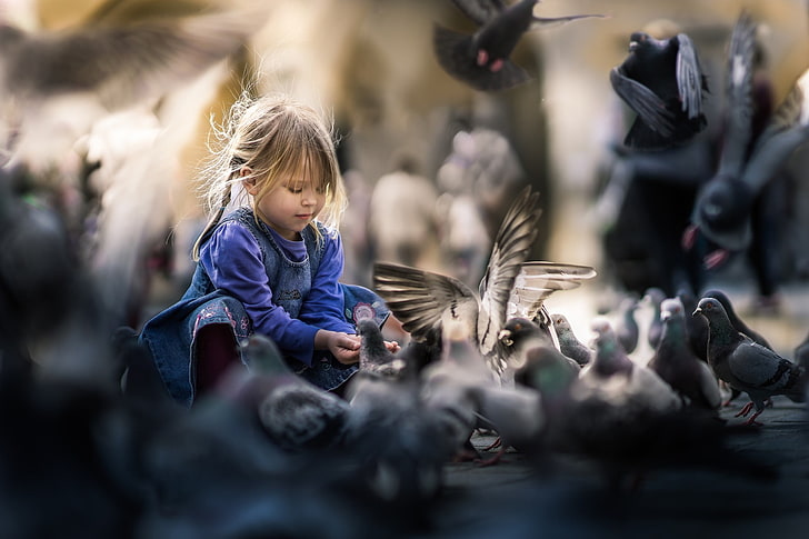 little girl, birds, childhood, selective focus, one person, HD wallpaper