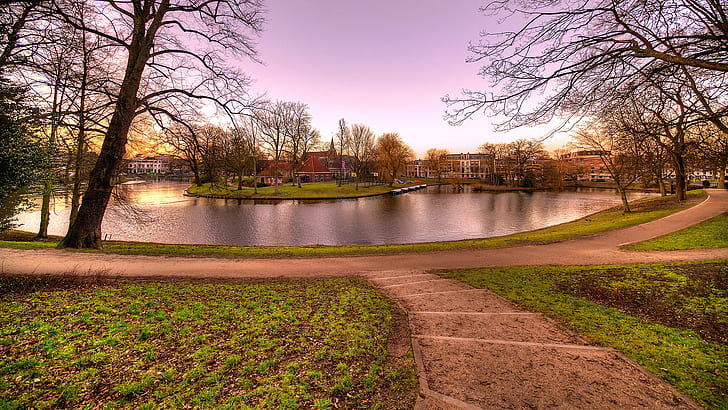 haarlem, netherlands, town, nature, canal, tree, park
