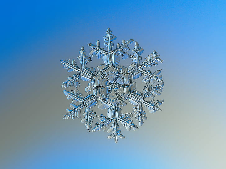selective photo of snowflakes, macro, gardener, dream, explore, HD wallpaper