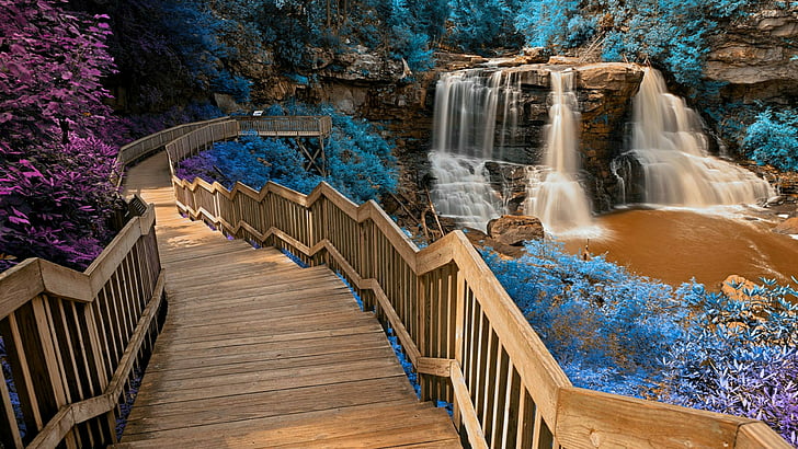 water, nature, body of water, stairs, waterfall, blackwater falls state park, HD wallpaper