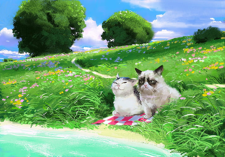 HD wallpaper: cats, memes, nature, trees, grass, flowers, humor | Wallpaper  Flare