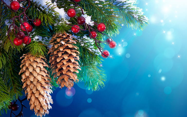 New Year Christmas tree decoration, snow, twigs, berries, HD wallpaper